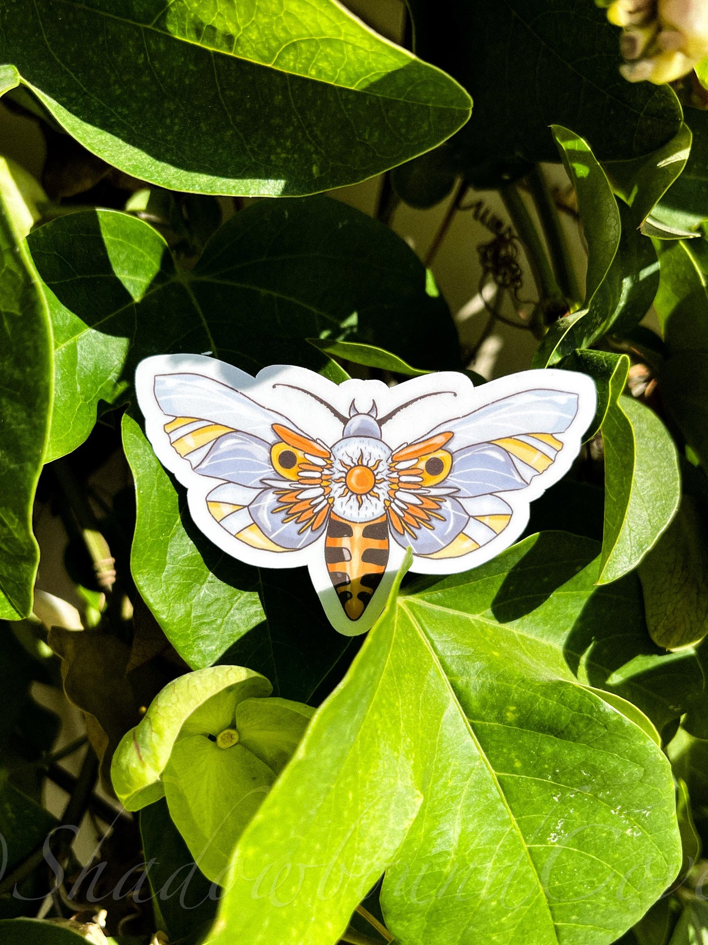 Celestial Moth - Waterproof vinyl sticker/decal