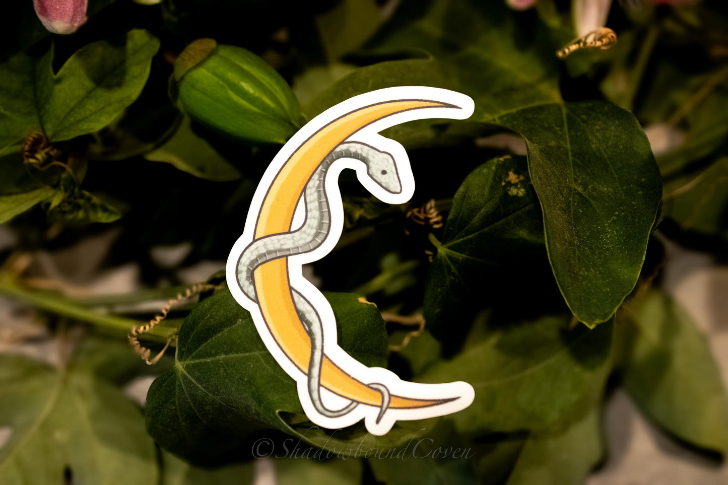 Cresent Moon with snake - Waterproof Vinyl Sticker