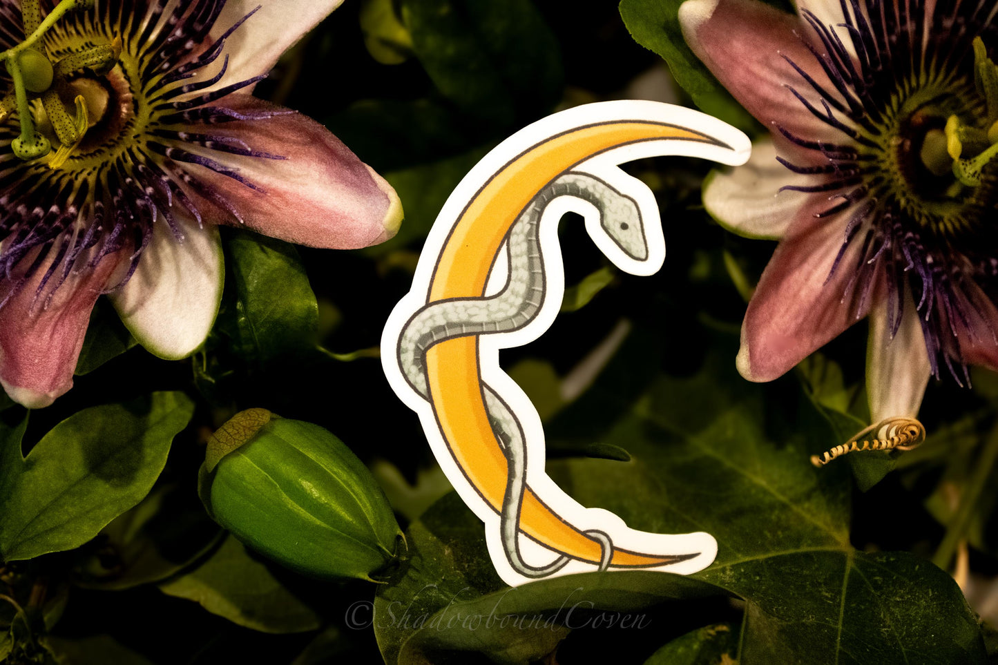 Cresent Moon with snake - Waterproof Vinyl Sticker