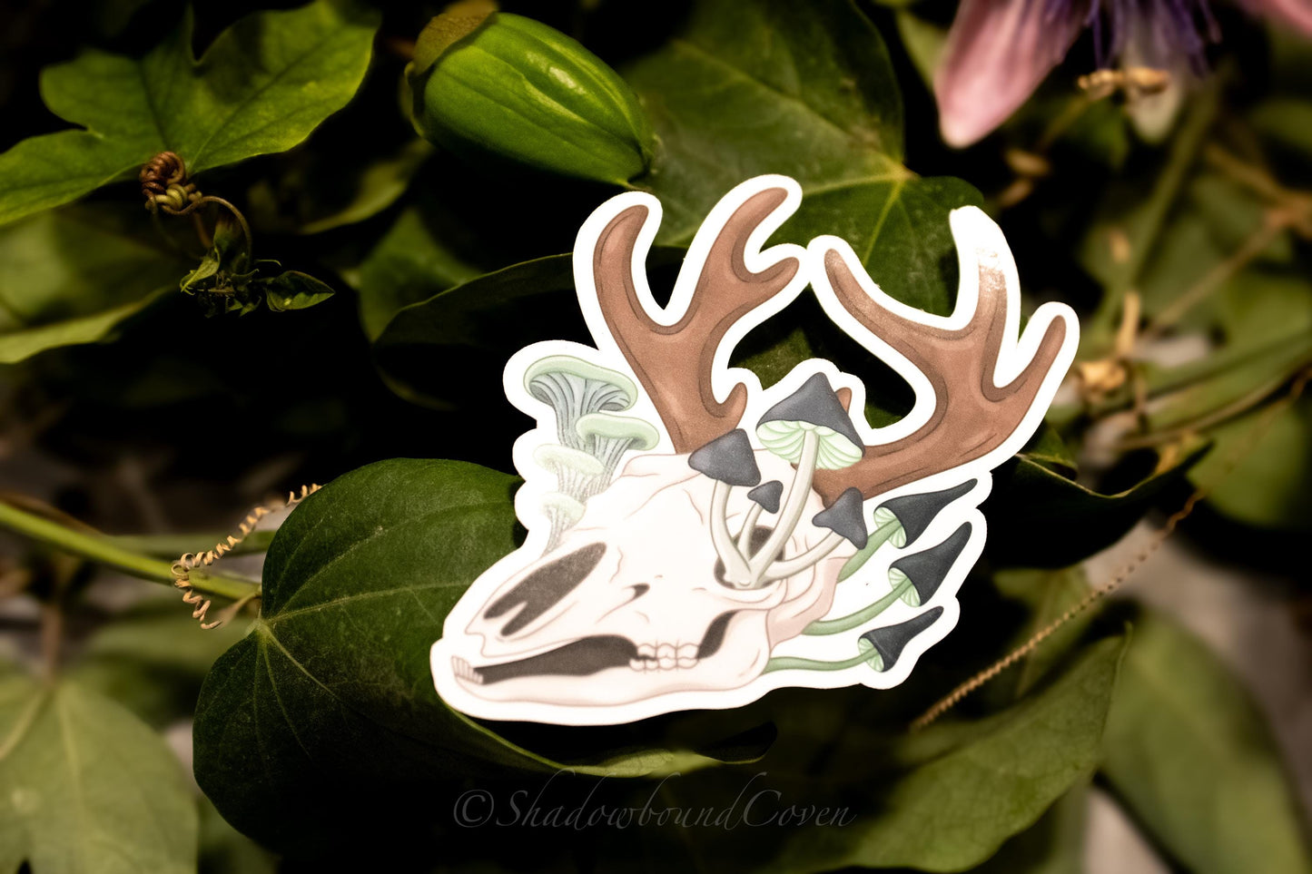 Mushroom Deer Skull - Waterproof Vinyl Sticker