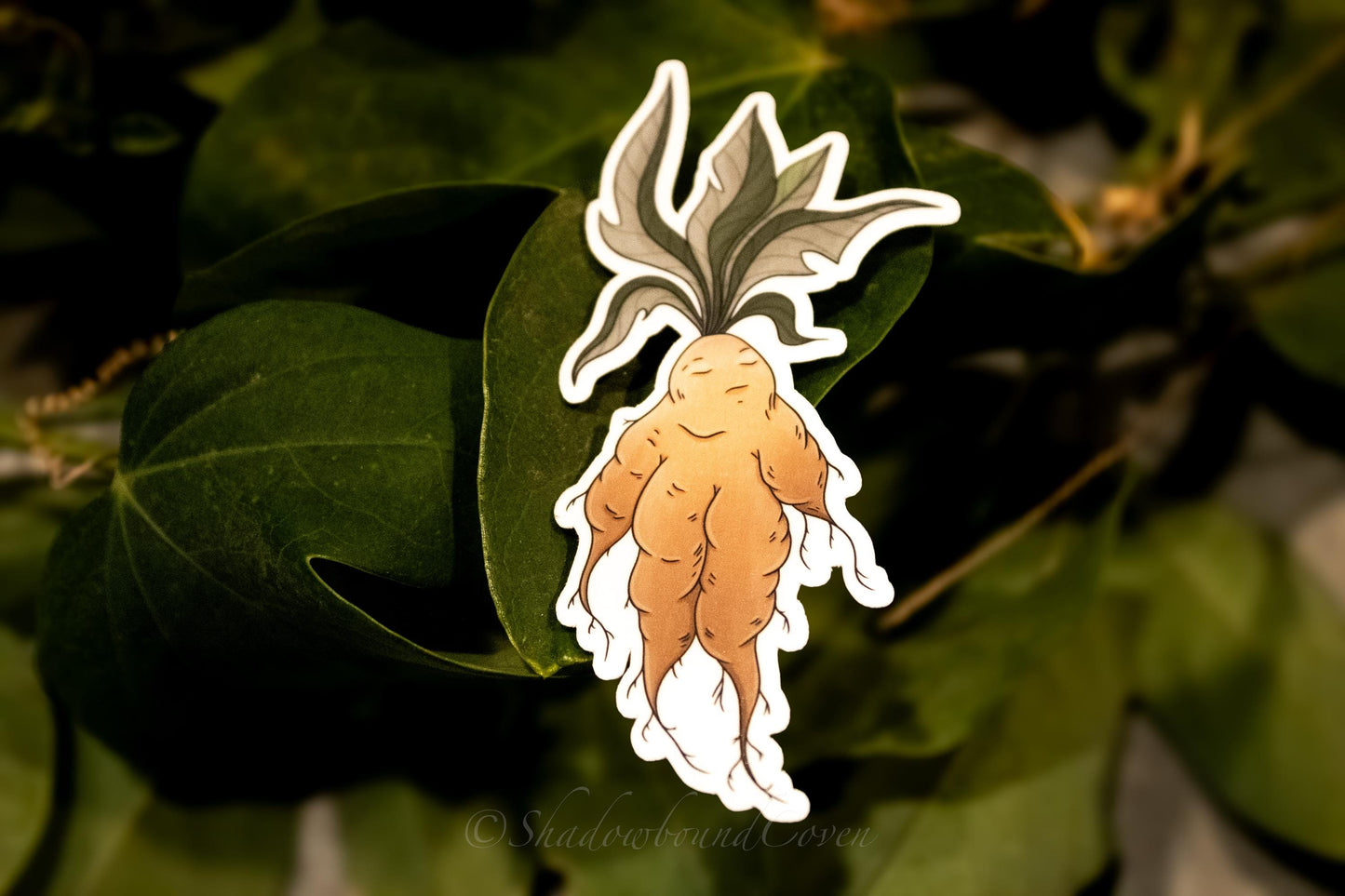 Mandrake - Waterproof Vinyl Sticker