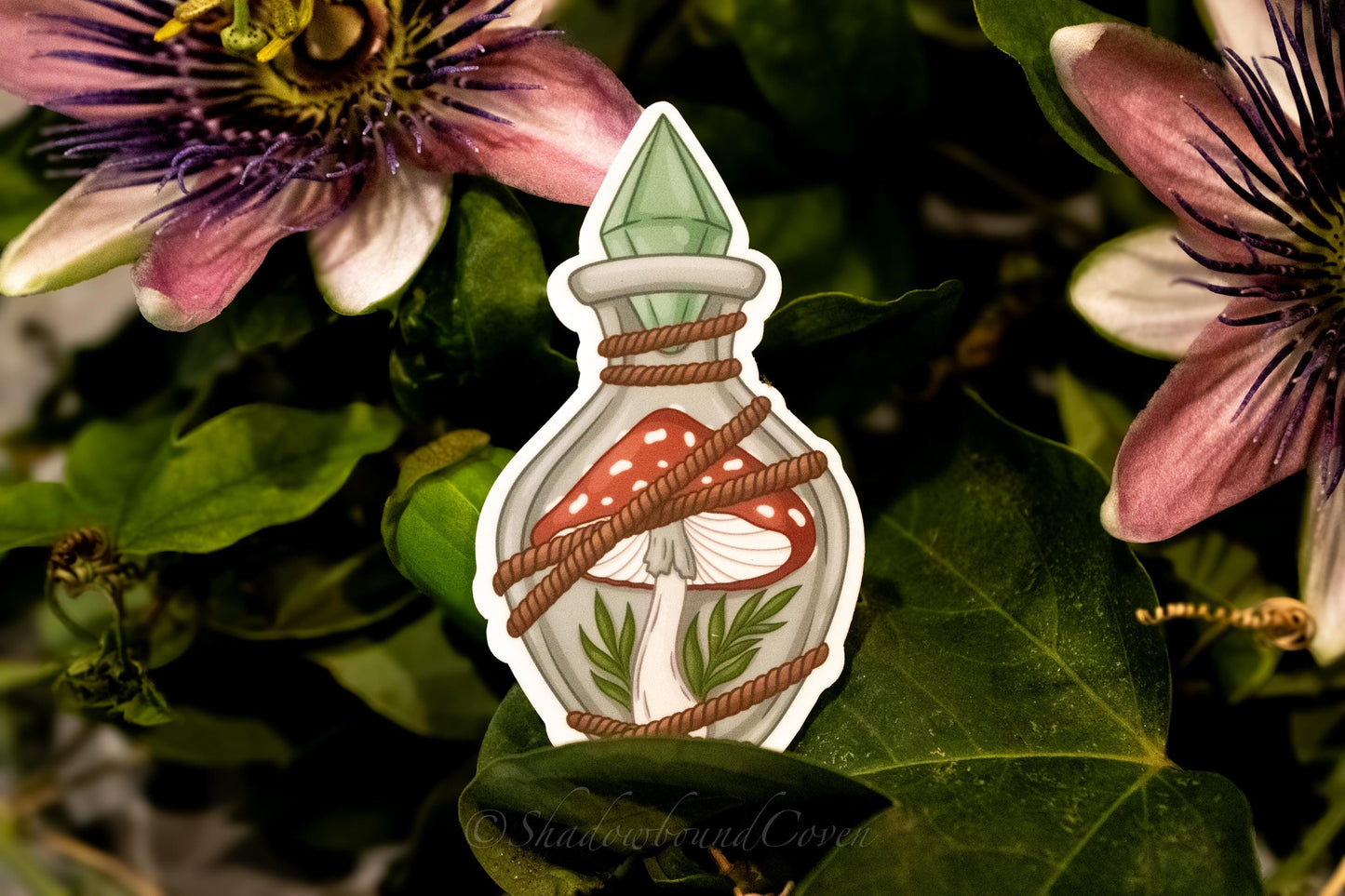 Mushrooms in a Crystal bottle - Waterproof Vinyl Sticker