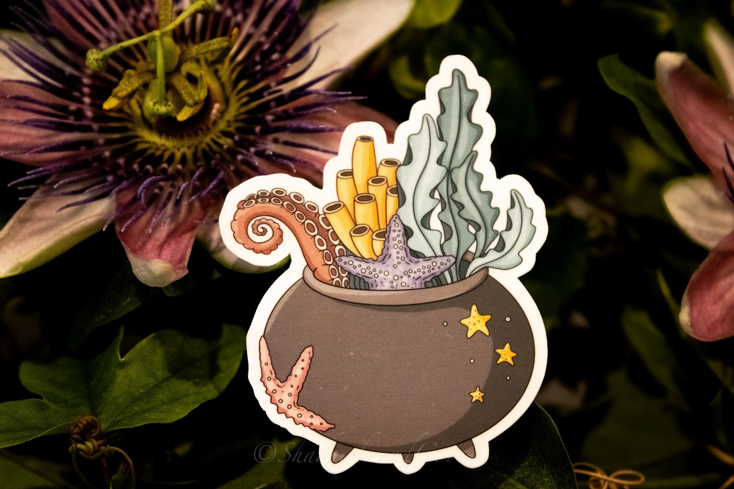 Oceanic Cauldron - Waterproof Vinyl Sticker