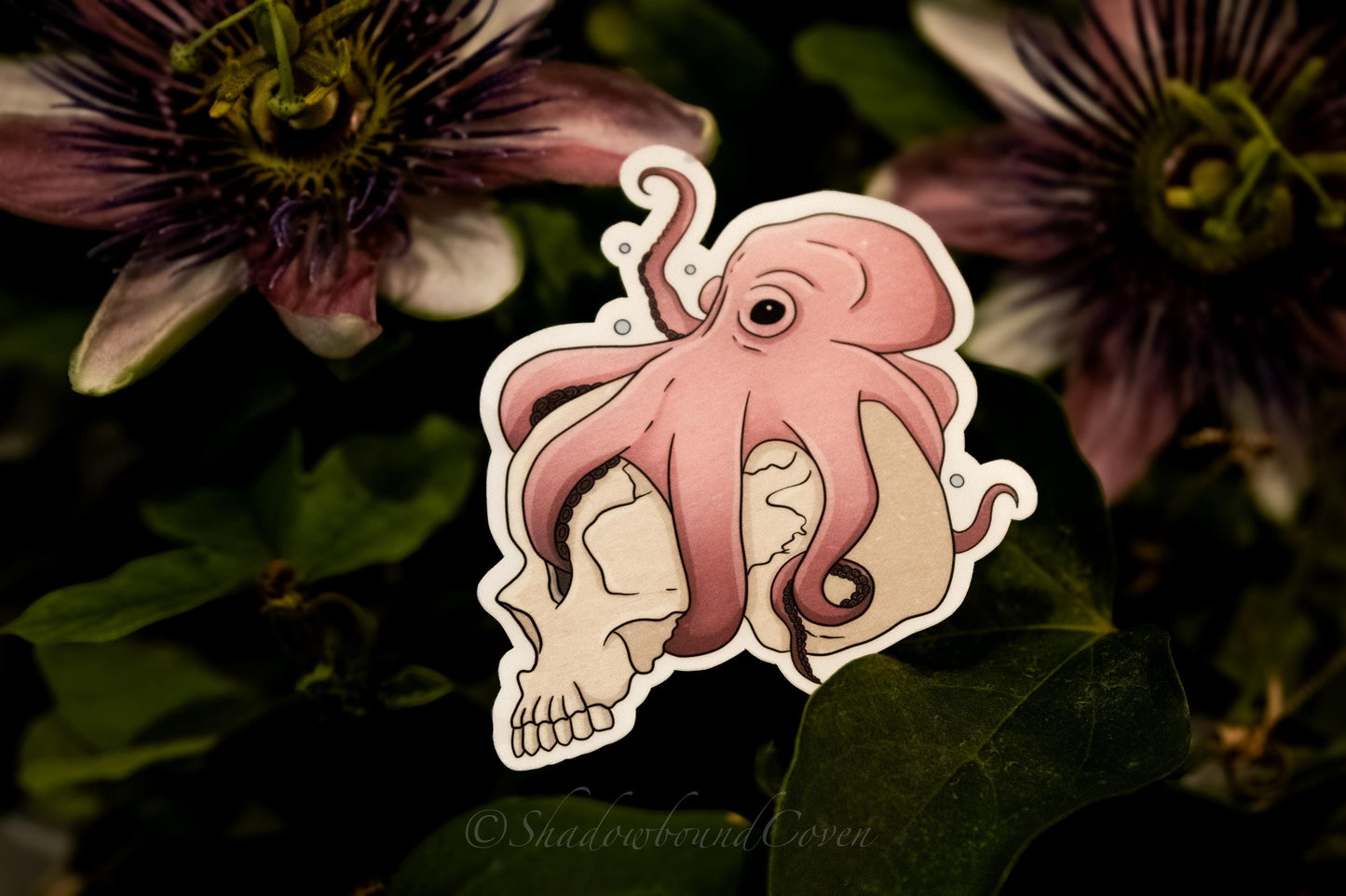 Pink Octopus Holding Skull - Waterproof Vinyl Decal Sticker