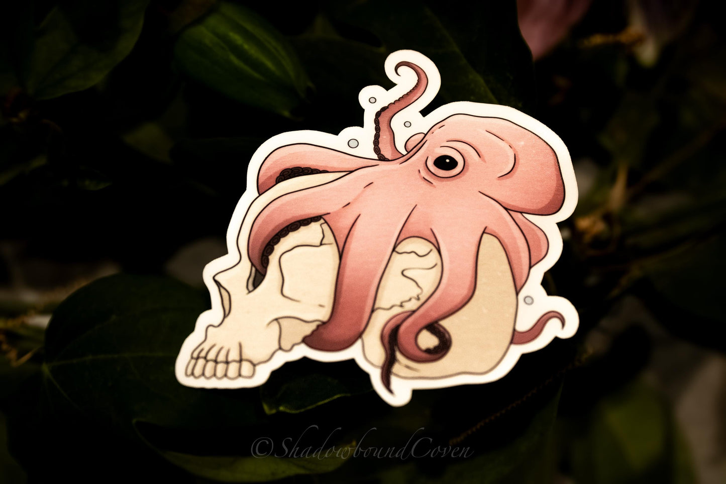 Pink Octopus Holding Skull - Waterproof Vinyl Decal Sticker