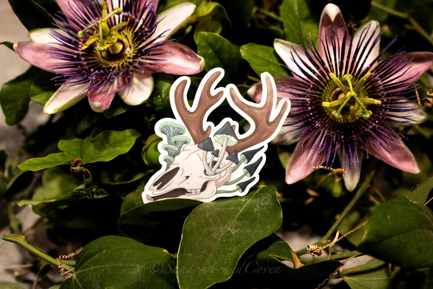 Mushroom Deer Skull - Waterproof Vinyl Sticker