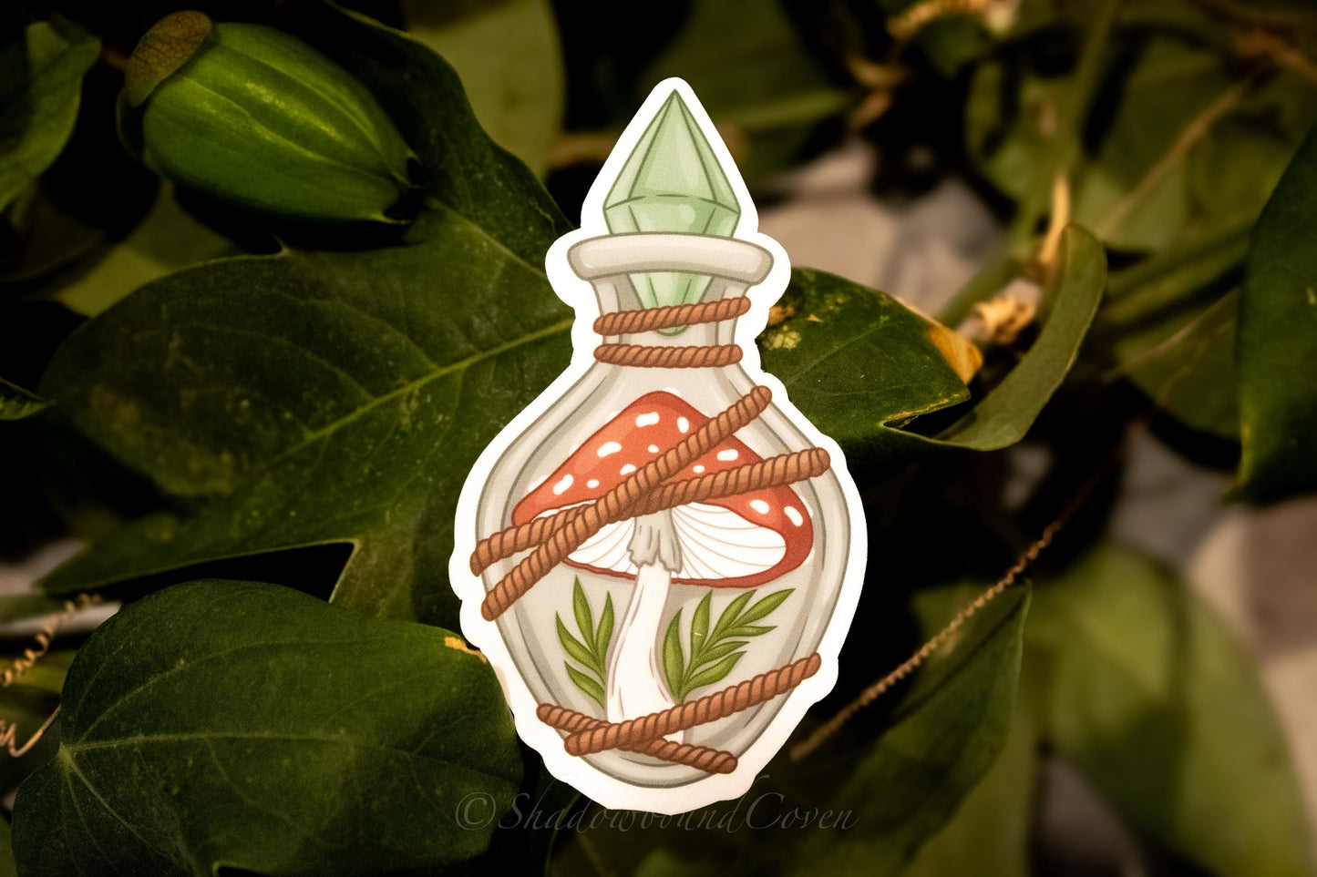 Mushrooms in a Crystal bottle - Waterproof Vinyl Sticker