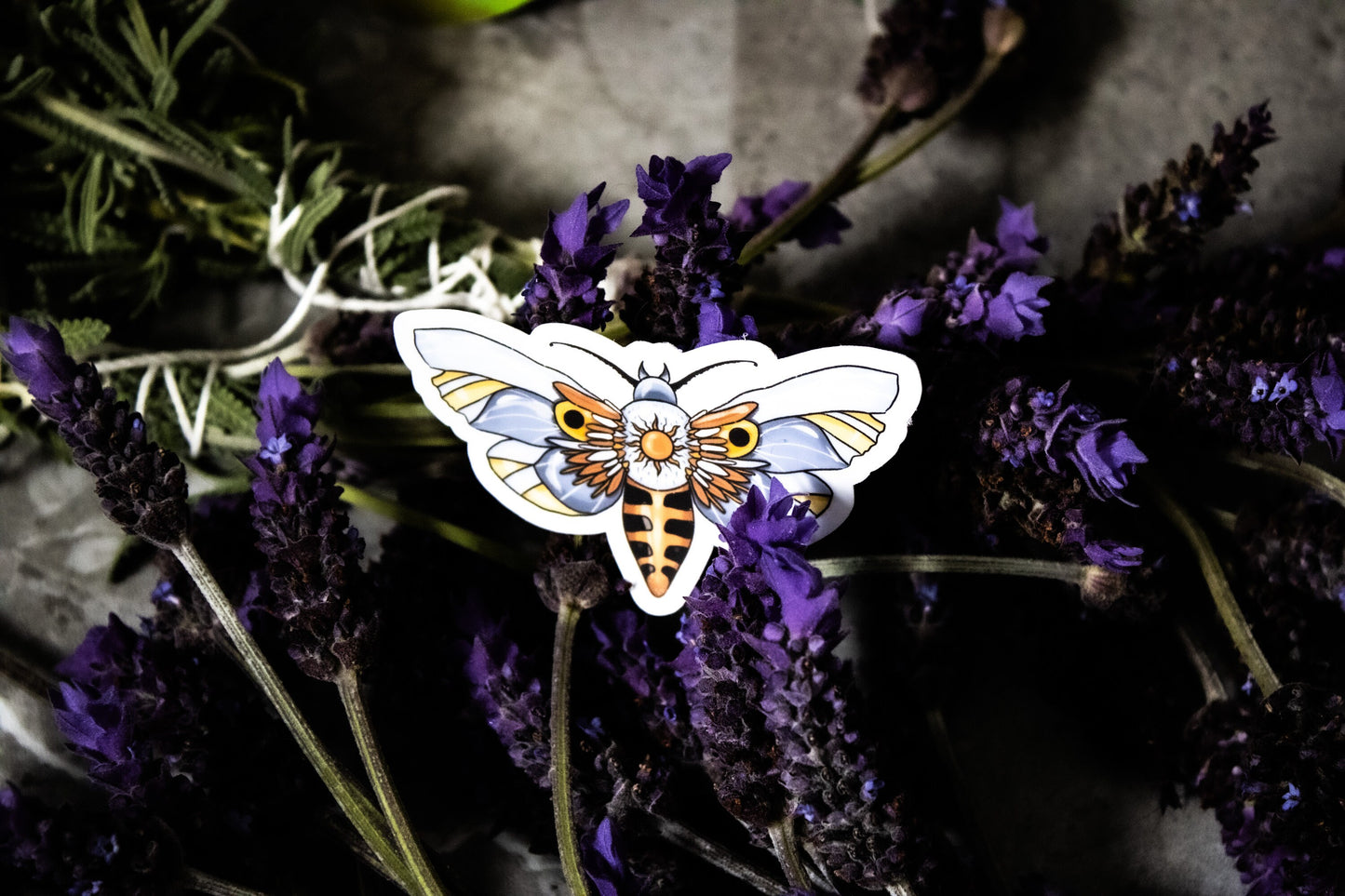 Celestial Moth - Waterproof vinyl sticker/decal