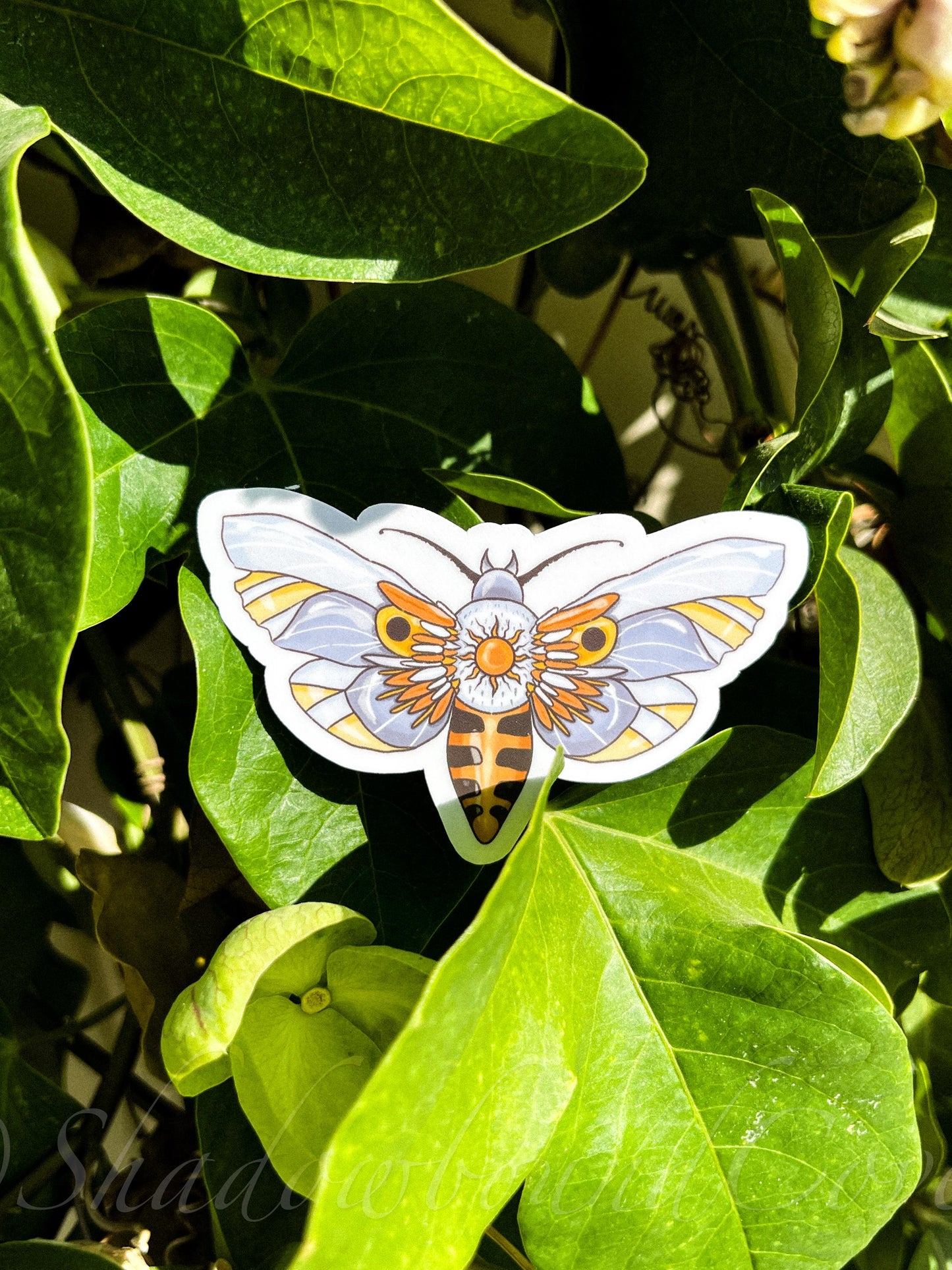 Celestial Moth - Waterproof vinyl sticker/decal