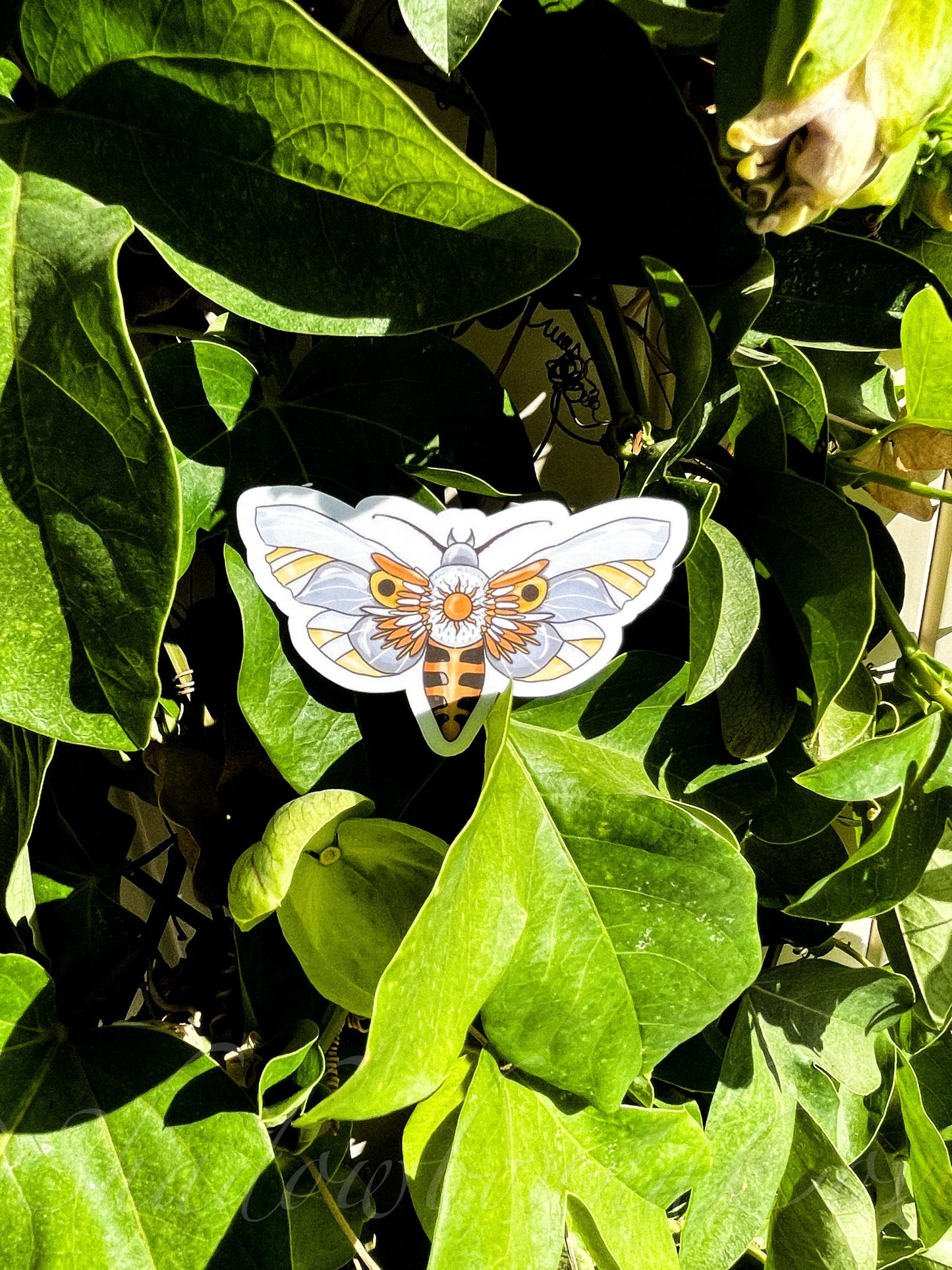 Celestial Moth - Waterproof vinyl sticker/decal