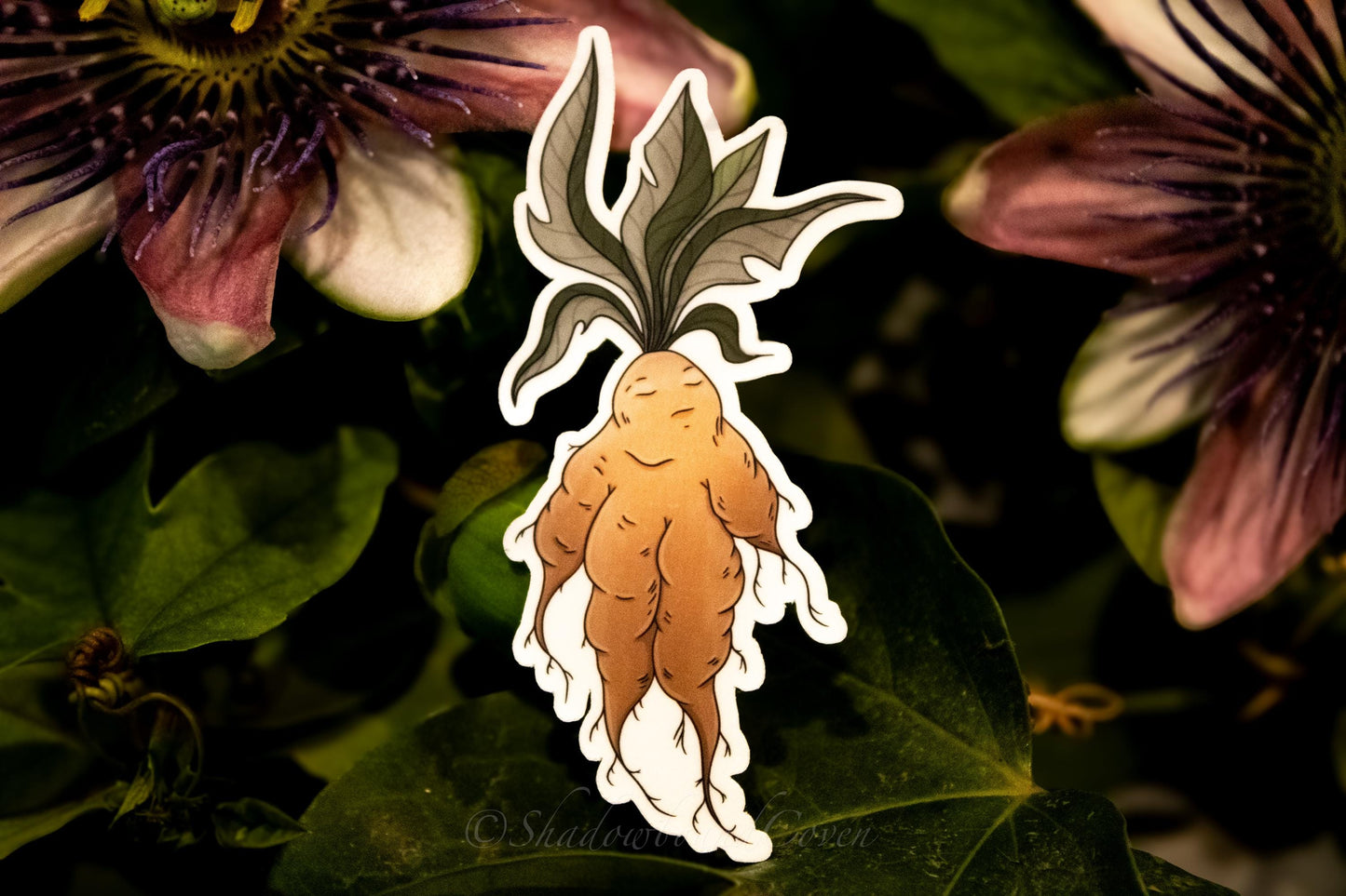 Mandrake -  Waterproof Vinyl Sticker