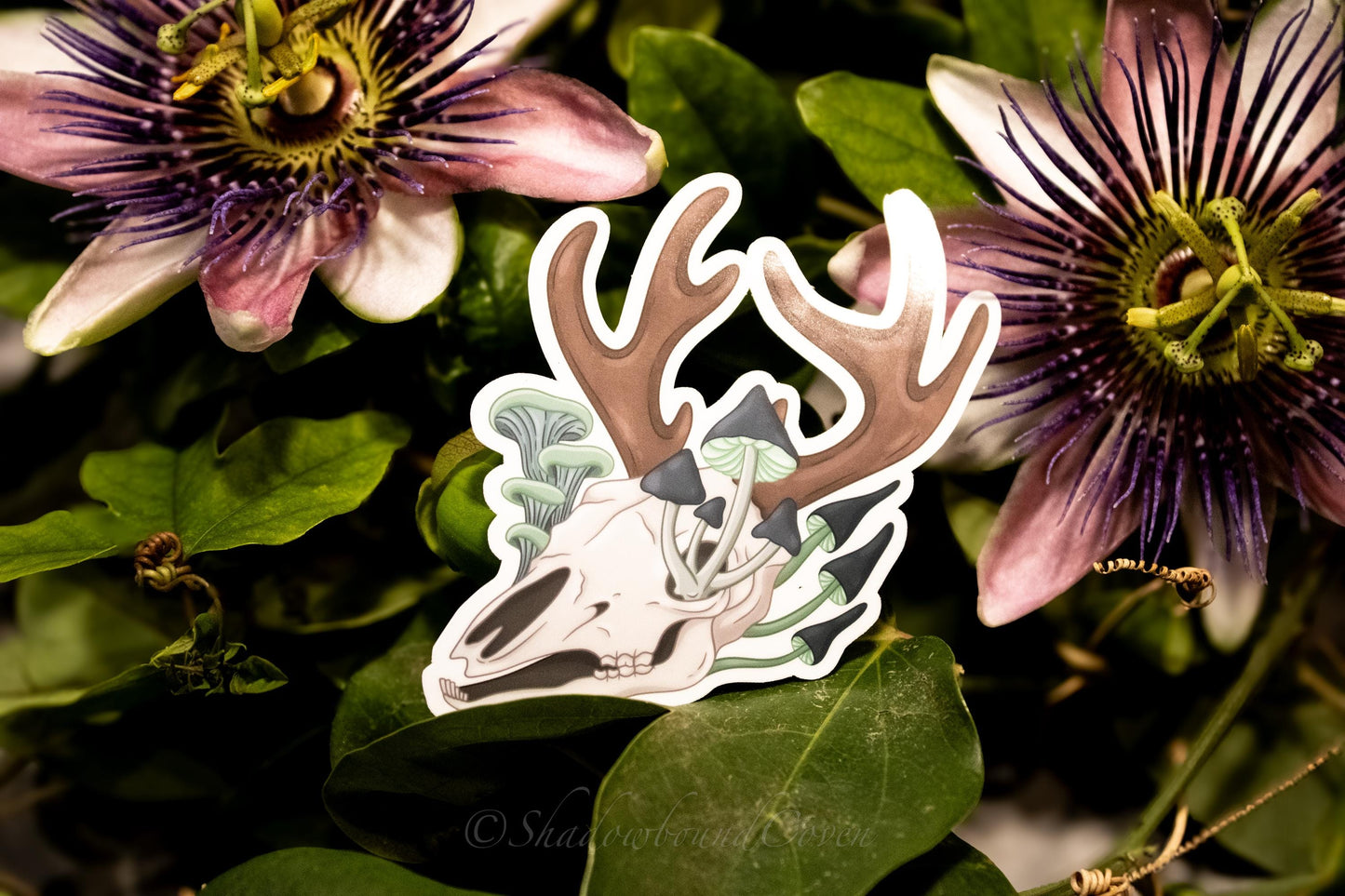 Mushroom Deer Skull -  Waterproof Vinyl Sticker