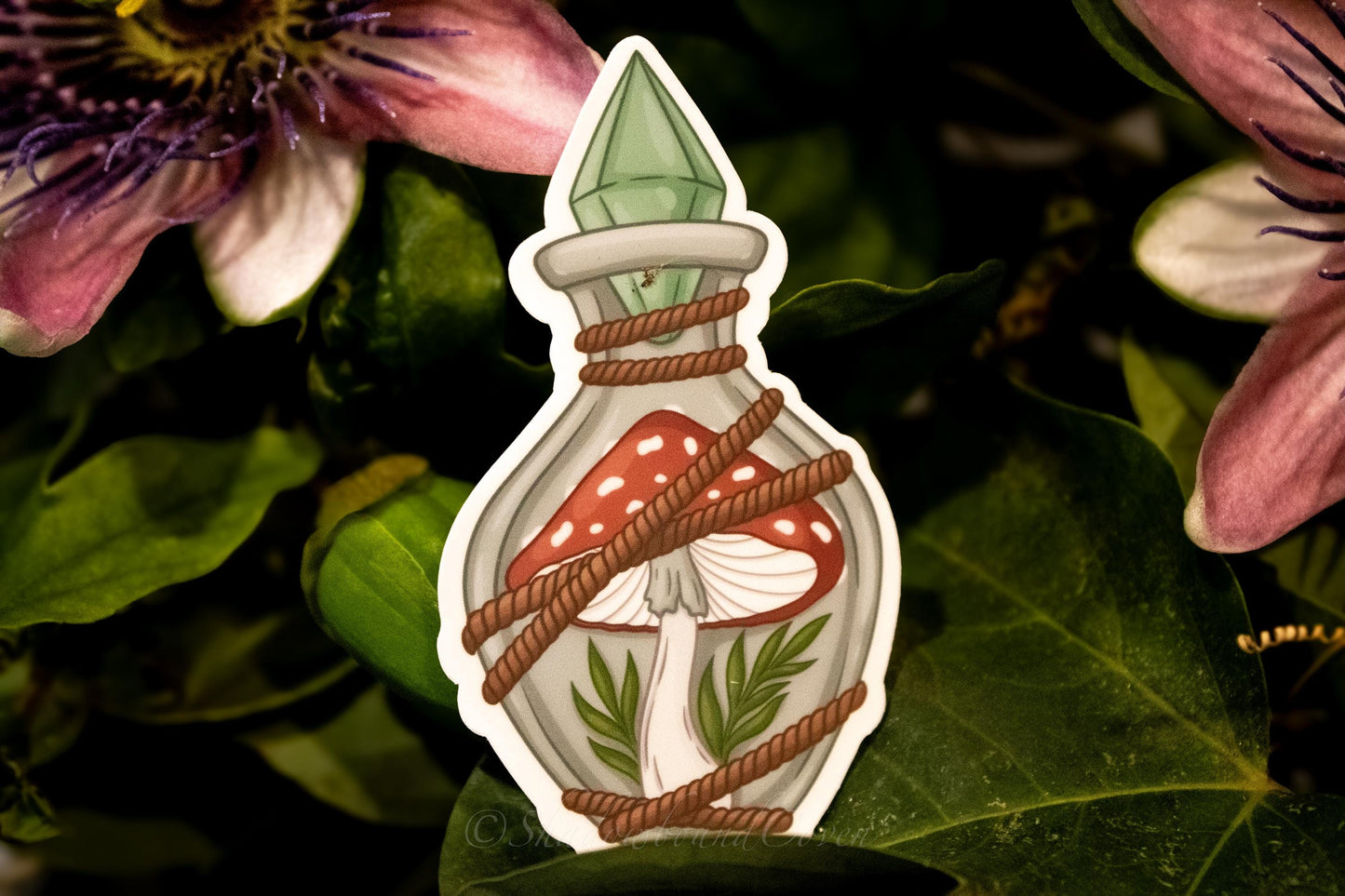 Mushrooms in a Crystal bottle -  Waterproof Vinyl Sticker